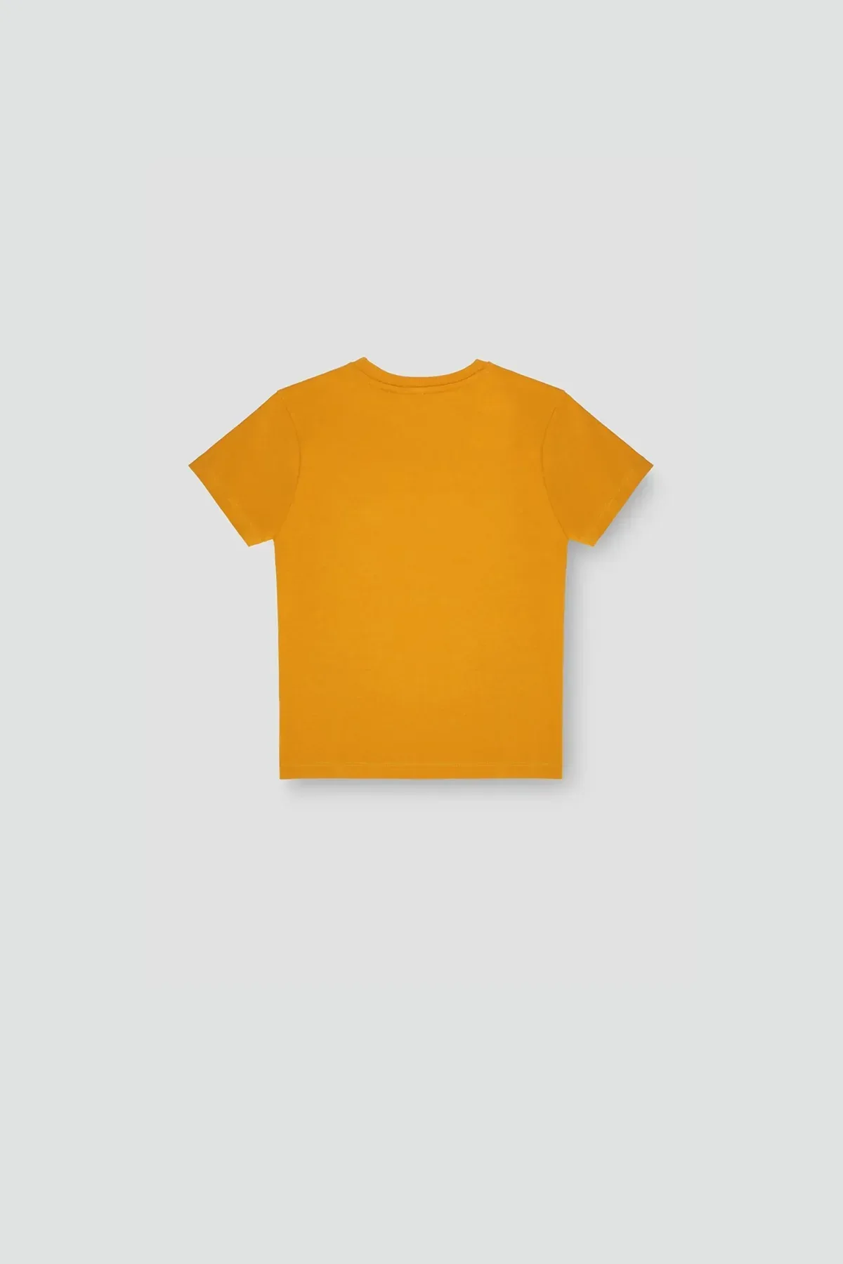 GRAPHIC T-SHIRT FOR BOYS - GOLD YELLOW - Image 3