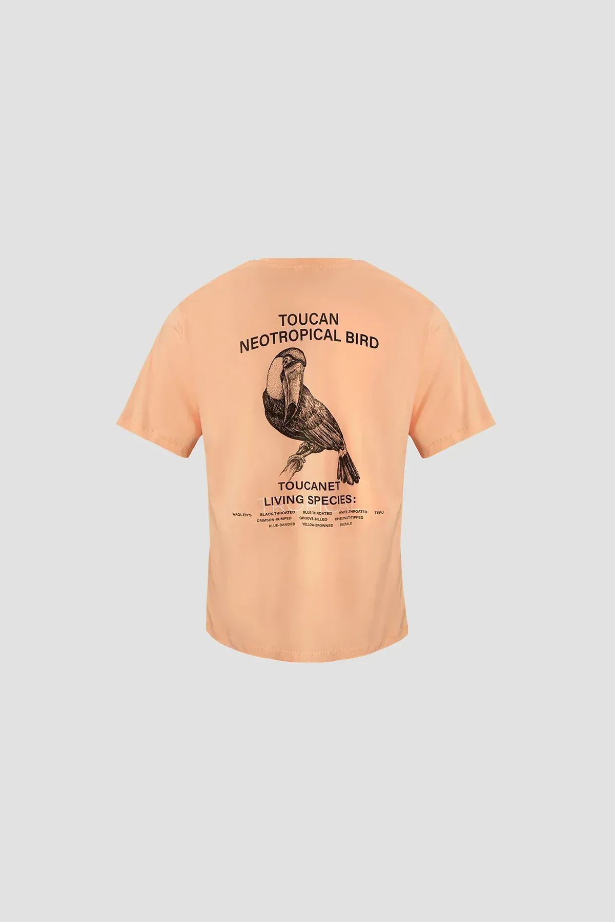 PRINTED T-SHIRT FOR MEN - Image 5