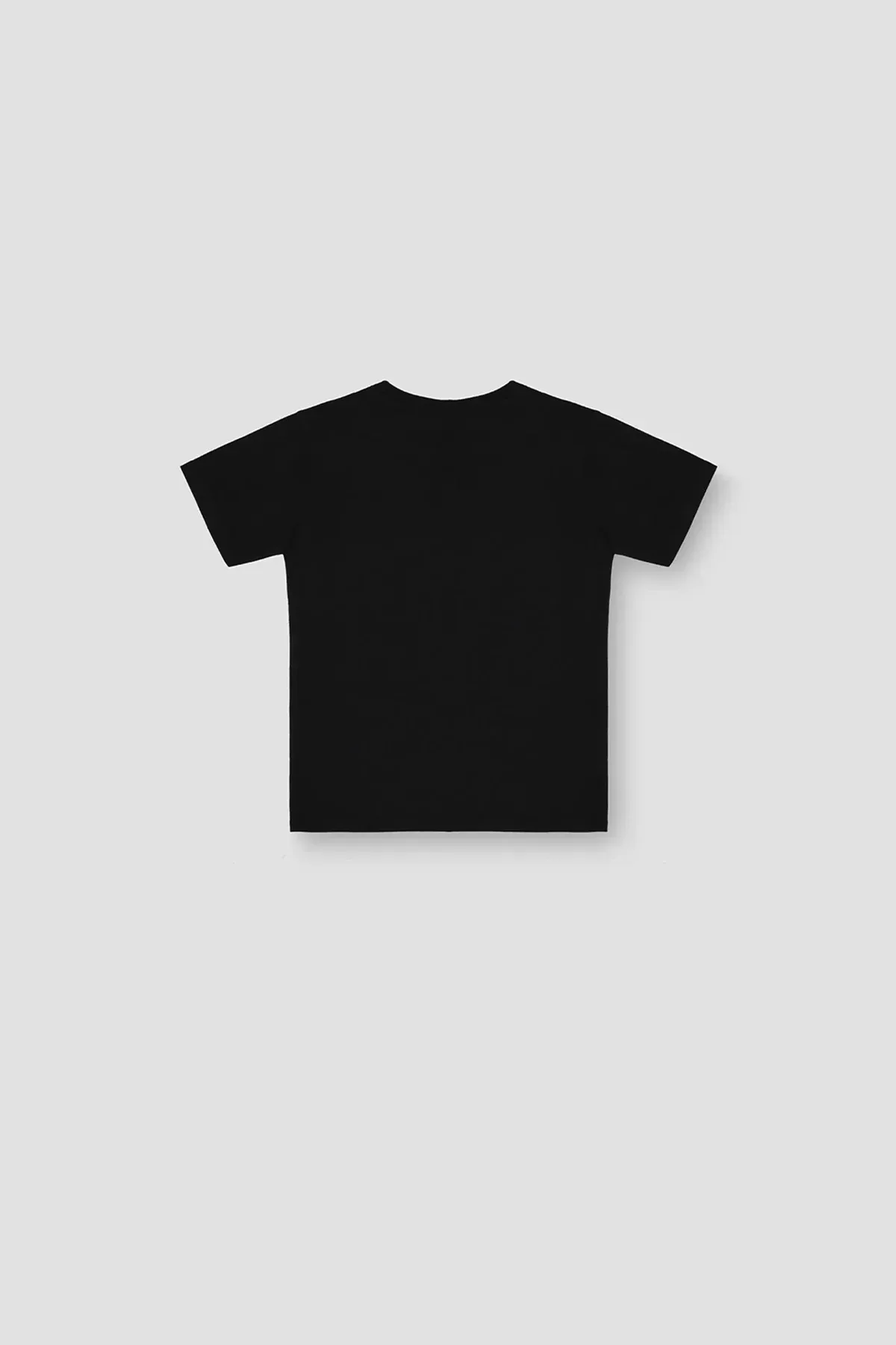 GRAPHIC FOR  T-SHIRT FOR BOYS - Image 5